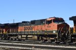 BNSF 1029 - Roster
